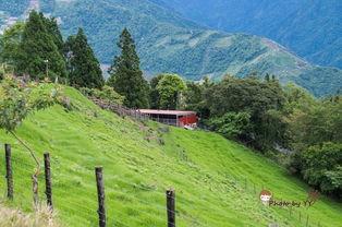 青青草国产线观  第2张 青青草国产线观  第2张